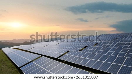 Vast Solar Panel Array at Sunset