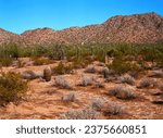 The Vast Sonora desert San Tan mountains in central Arizona USA on a late Spring morning on film