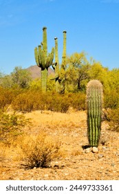 The Vast Sonora desert San Tan mountains in central Arizona USA on a late Spring mornin