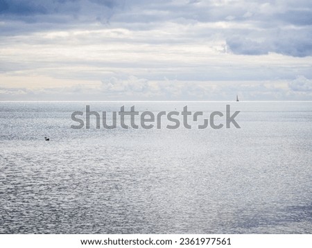 The vast sunlit expanse of the open ocean with tiny duck in the distance and sailboat on the horizon