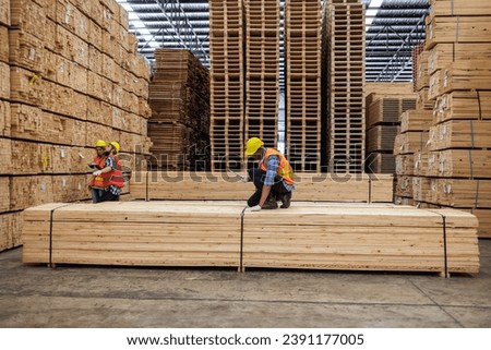 In vast timber warehouse, two workers, one measuring planks and the other supervising, diligently ensure the accuracy of inventory, essential for maintaining quality standards in the lumber industry