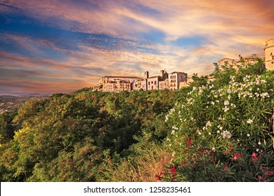 Vasto, Abruzzo, Italy: landscape at dawn of the old town on the green hill under a dramatic sky and with oleander flowers in foreground