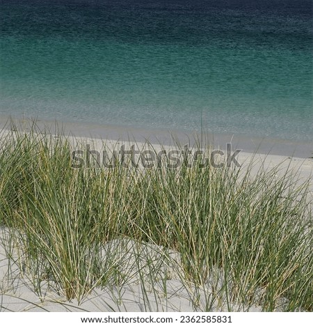 Similar – Image, Stock Photo Dune with sea view Freedom