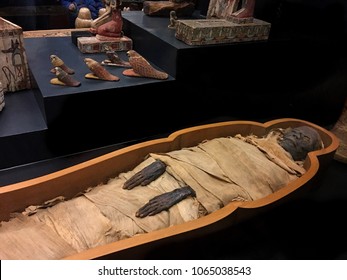 Vatican Museums, Vatican City - December 27, 2017: An Ancient Egyptian Mummy.