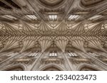 vaulted ceiling at Winchester cathedral