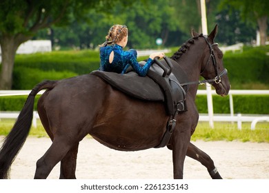 Vaulting horse wearing a thick back pad and a surcingle with special handles and leather loops called "cossack stirrups" - Shutterstock ID 2261235143