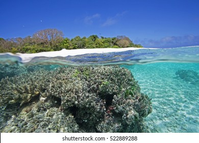 Vava'u Island, Tonga