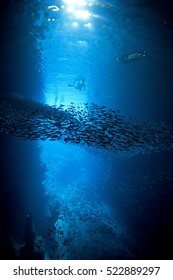 Vava'u Island, Tonga, Swallow Cave 