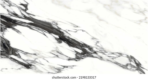 Vector marble texture design background, black and white marble surface, modern luxury vector illustration
 - Shutterstock ID 2198133317