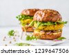 vegan burger isolated