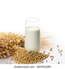 Vegan soy milk, rice milk, oat milk, dairy-free alternative milk. Soybeans and ears of cereals. White background.