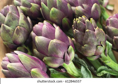   Vegetable background with fresh artichokes
