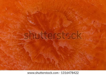 Vegetable background texture. Close-up of a fresh sliced carrot. Macro. Helath concept.