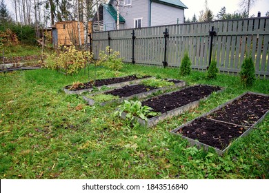 Vegetable Beds In Autumn, Preparation For Winter Holidays. Garden, Cottage.