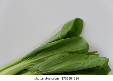vegetable concept from top view. 