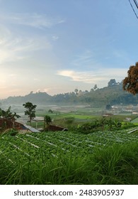Vegetable fields surrounded by hills and residents in the morning located in Parongpong, Bandung, West Java