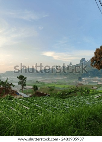 Vegetable fields surrounded by hills and residents in the morning located in Parongpong, Bandung, West Java