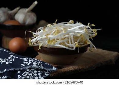 mung bean sprout vegetable