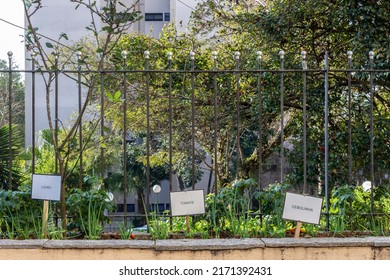 Vegetable garden, cultivated in an urban area, in a condominium of residential buildings located in the city of Sao Paulo, Brazil. Plates in Portuguese: bay leaf, tomato and chives - Shutterstock ID 2171392431
