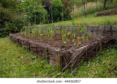 Vegetable Garden Design Stock Photo 444362857 | Shutterstock