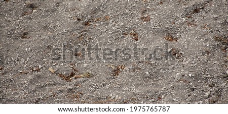 Vegetable garden field Background image of chalky limestone soil with patterns texture. Difficulties in soil cultivation. Agriculture