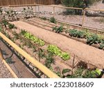 Vegetable Garden with Furrows in Apache Junction, Arizona Backyard 