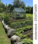 Vegetable garden and homestead with leafy greens