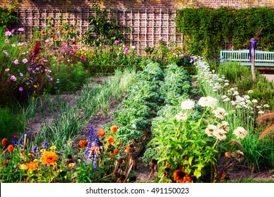 Vegetable Garden In Late Summer. Herbs, Flowers And Vegetables In Backyard Formal Garden. Eco Friendly Gardening