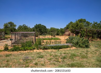 Vegetable Garden On A Farm In Semi Arid Conditions With Trees In The Background 