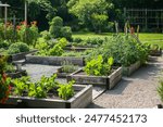 vegetable garden organic in the backyard outdoor