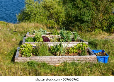 Vegetable Garden In Raised Beds