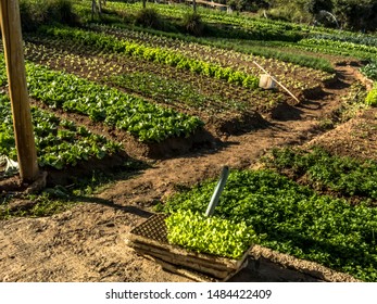 44,472 Small Family Farm Images, Stock Photos & Vectors | Shutterstock