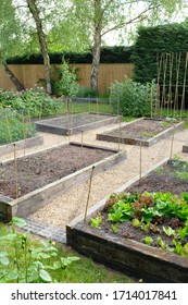 Vegetable Gardening, Vegetable Beds In A Garden, UK