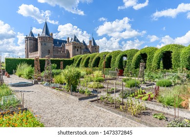Vegetable gardens of Muiderslot castle in the Nederlands with the castle in the background, blue sky and clouds