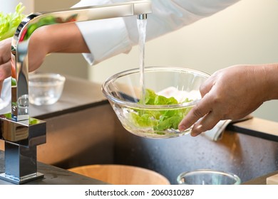 Vegetable Green Oak In Water Was Washed In Glass Bowl.