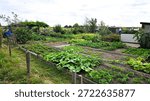 Vegetable growing at allotment plot garden in local nature forest with plants, bushes and trees. Agricultural, ecological, self-sufficient, farming and sustainable living concept.