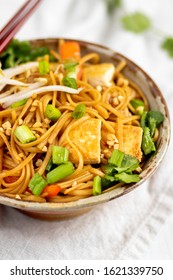 Vegetable Lo Mein With Tofu