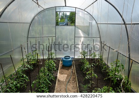 Similar – Laubenpieper I View into a greenhouse with a row of crops, mainly tomato plants, through the door