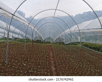 375 Good Agricultural Practice Images, Stock Photos & Vectors ...