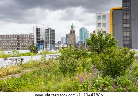 Vegetable roofgarden on top of an office building in the citycenter of Rotterdam, Netherlands. The biggest rooftop farm in Europe.