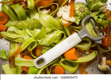 Vegetable Scraps Food Waste