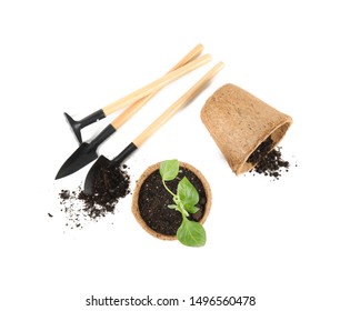 Vegetable Seedlings And Garden Tools Isolated On White, Top View