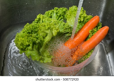 Vegetable in sink.