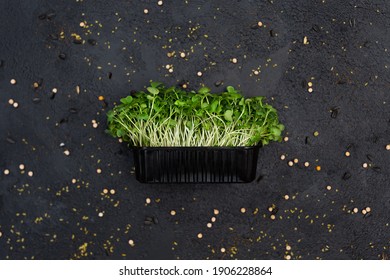 Vegetable sprouts radish, micro -, microgin