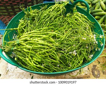 Vegetables in the basket
