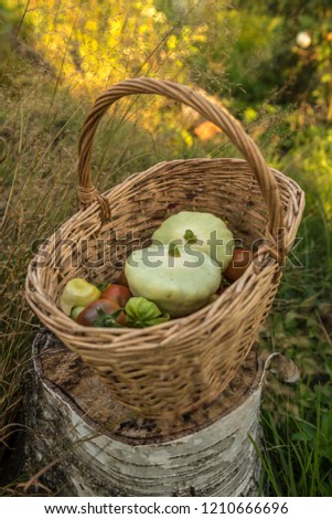 Similar – Image, Stock Photo orchard meadow, apple harvest