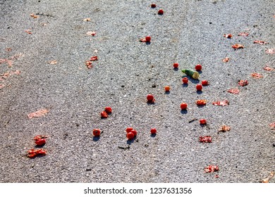 Vegetables on the road.