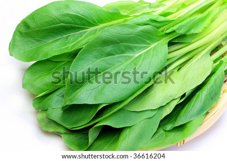 vegetables(komatuna)