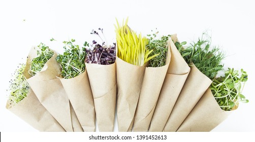 Vegetarian concept: healthy microgreen dill sprouts, radishes, mustard, arugula, sunflower, cucumber, onion, lucern, pea in in small packages isolated on the white background. Natural and eco concept - Shutterstock ID 1391452613