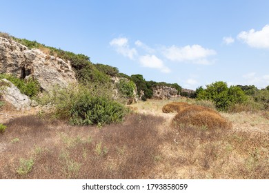 The vegetated stone walls of the old Phoenician fortress, which later became the Roman city of Karta, near the city of Atlit in northern Israel - Shutterstock ID 1793858059